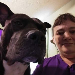 Meet your Posher, Angie